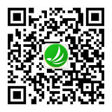 星耀国际官方网站图片