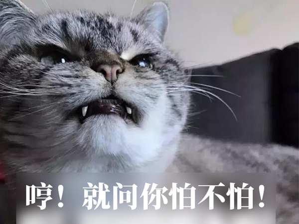 星耀国际官方网站图片
