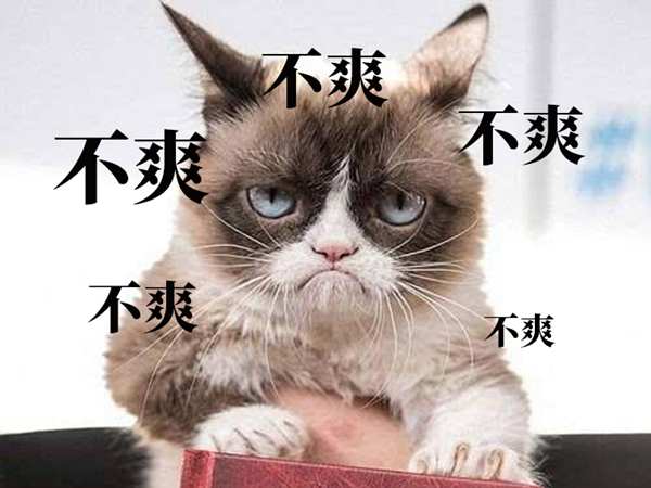 星耀国际官方网站图片